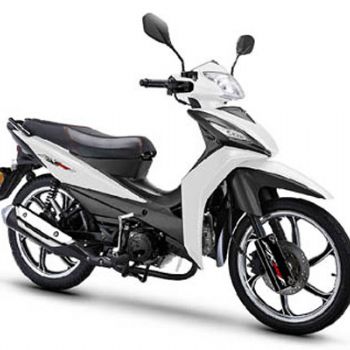 ���� ��ӰII LF110-26C