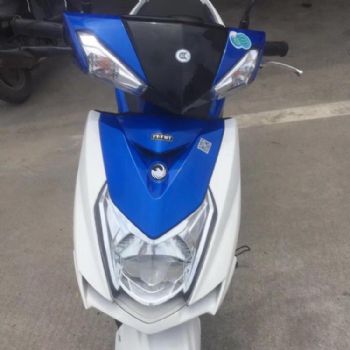  ��ӥĦ�г�̤��Ħ�г���ӥ�Ĵ�Ŀ��ӥϲ����������