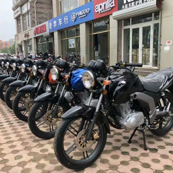 ��ľGSX150