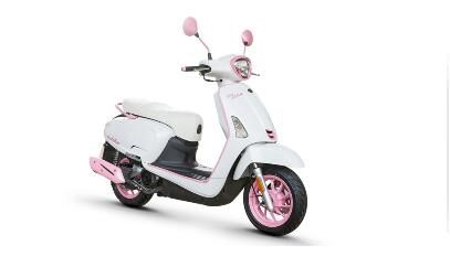 ���� Any Like Q150 CK150T-13��