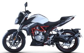 �޼� 300R LX300-6A
