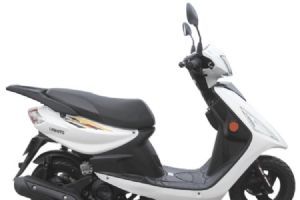�ֺ� ���� LH100T-19