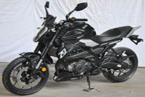 �¸о�  XGJ250-6C