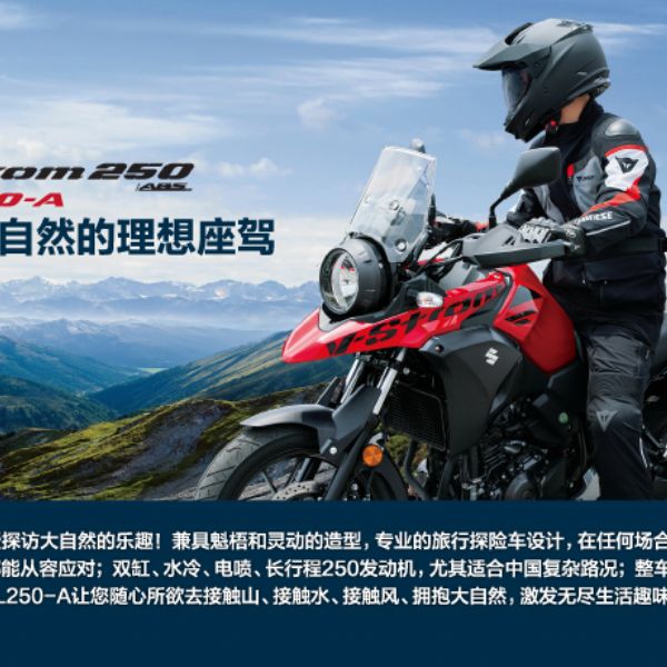 ������ľDL250-A ABS ����