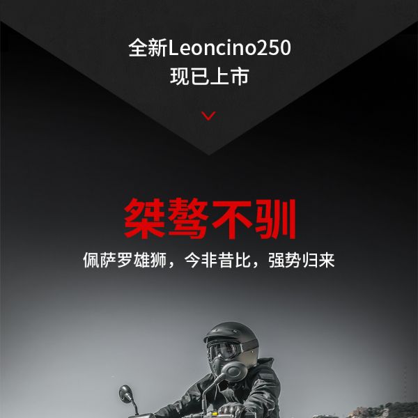  Benelli��������ʨleoncino250��������Ħ�б��䡭