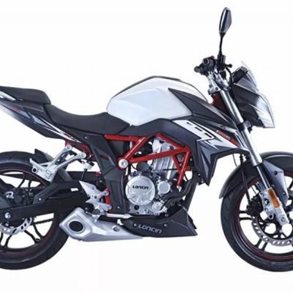 ¡��  �޼�300R LX300-6A