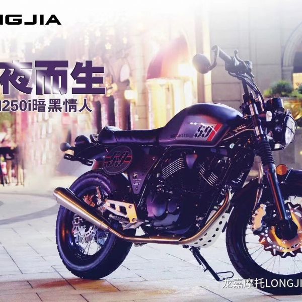  �¿��������V��LJ250-V��ɫ���˿�Ұ�渴�Ż�����