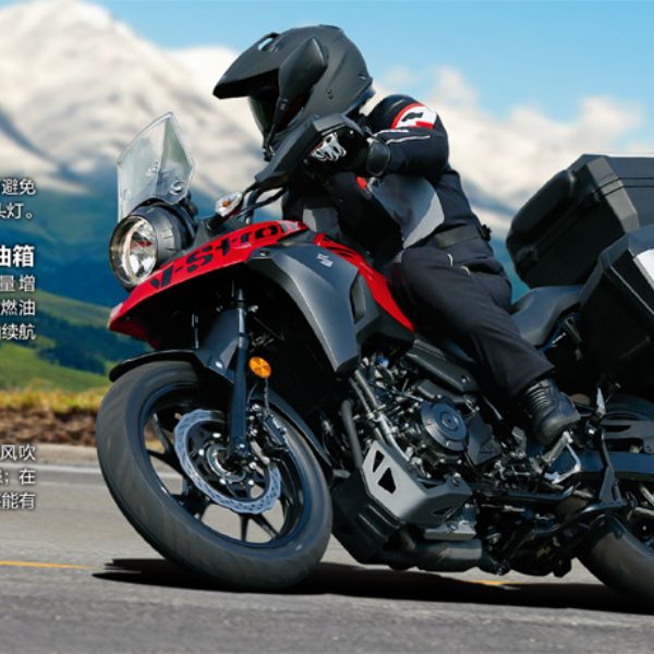 ������ľ250 DL��