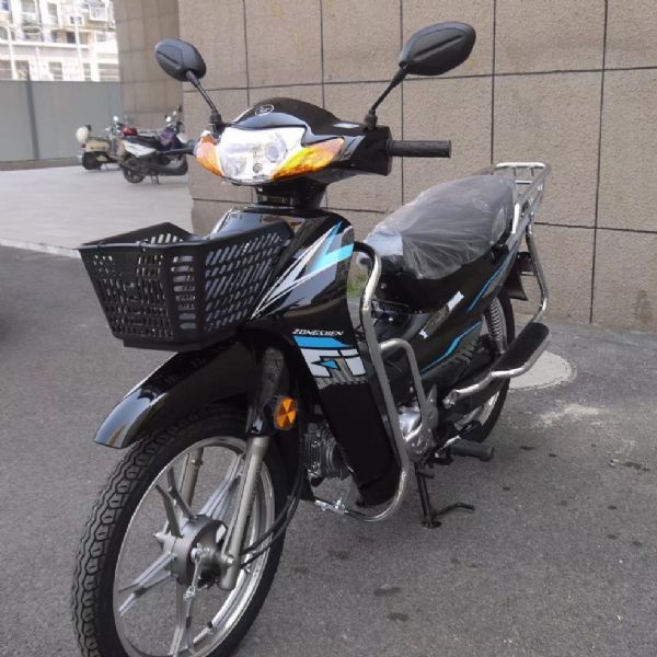  ZS110-9E