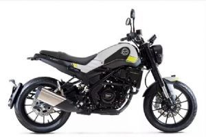 ��������ʨBJ250
