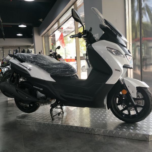  ����Z300