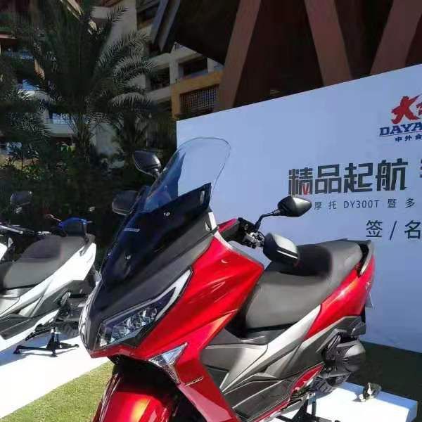  ����V��300