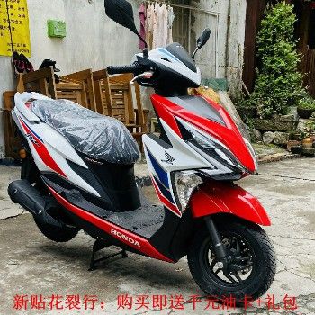  ȫ��ԭװ2020���´��ޱ���̤��Ħ�г����������ơ�