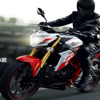 ����������RZ3ZS250GS-2A