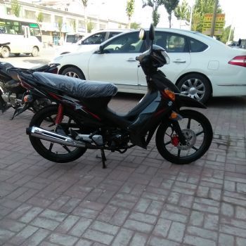  ��ľ��ʤQS110-2