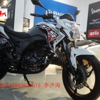 LX200-13