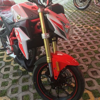 ���������� RZ3 ZS250GS-2A ����ŷʽ���Խֳ� Ħ��