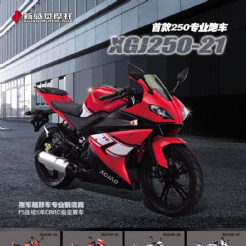  �¸о�XGJ250-21