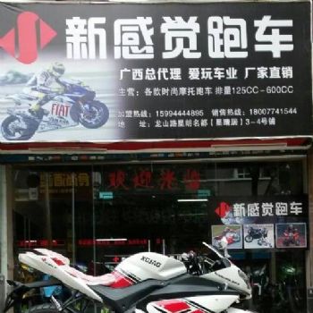  �¸о�XGJ250-21(������