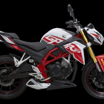 ������ RZ3 ZS250GS-2A