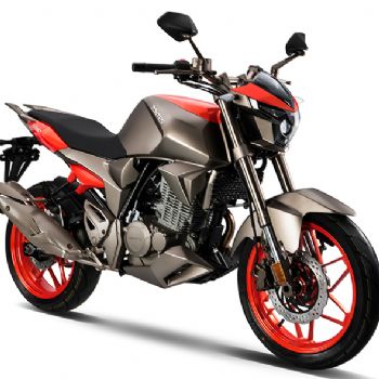 ZT250-S