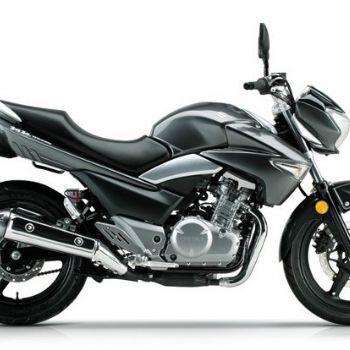 ��ľ���GW250-A�Ź���