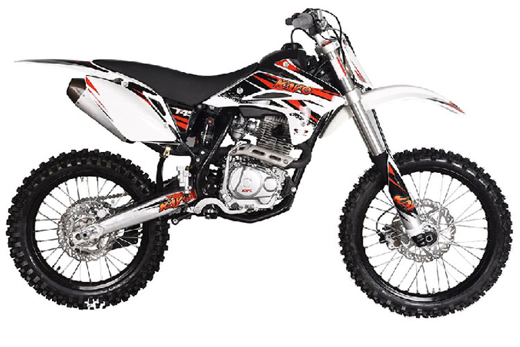 ���� T4(2019)
