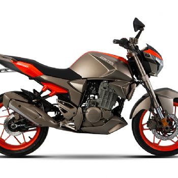  ZT250-S ����ZONTES ���� ���顭