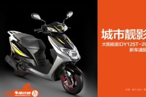 ����DY125T-29�������