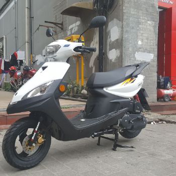 �ֺ� ��ӥ LH100T-15