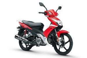 ������ľ �ŵ� HJ110-3