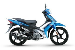 ������ľ �ŵ� HJ110-5