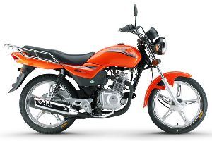 ������ľ ��˧ GD110(Բ�ƿ�)