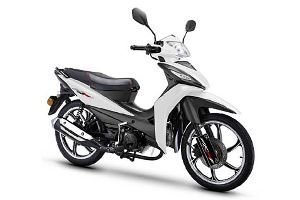 ���� ��ӰII LF110-26C