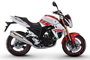 ���� �� YG250-NT