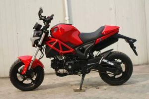 ���� С���� YG125-21A