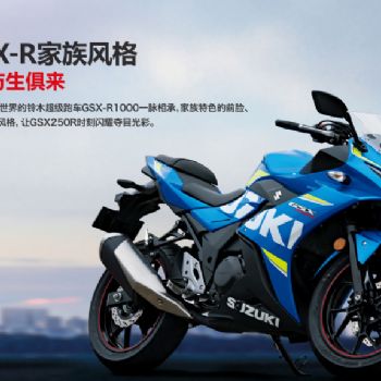  ��ľGSX250R