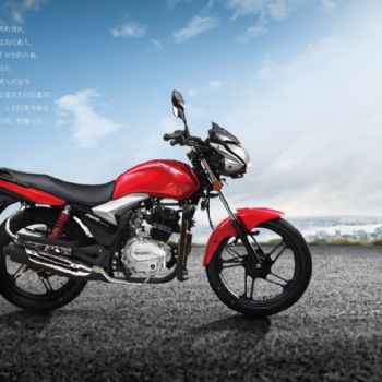  ZS150-40F