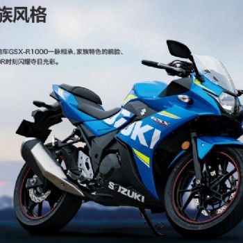 ��ľGSX250R�ܳ�