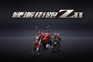 ����Z2 ZS200-76��������