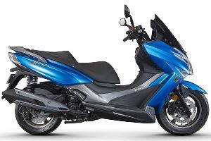 ������ͧ300