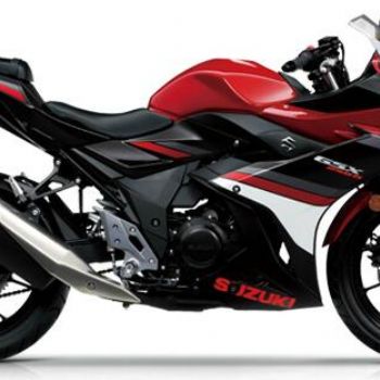 ������ľGSX250R