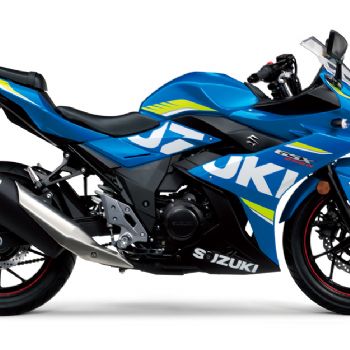 ������ľ GSX250R�ܳ�