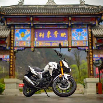 �����ֳ�KP200