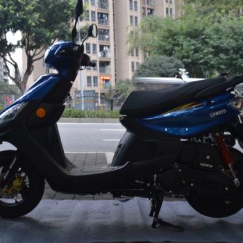 �ֺ� ��ӥ LH100T-15