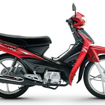 ������ľ UD110 HJ110-6