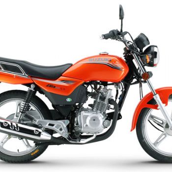 ������ľ ��˧ GD110(Բ�ƿ�)
