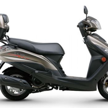 ������ľ VF100 HJ100T-8