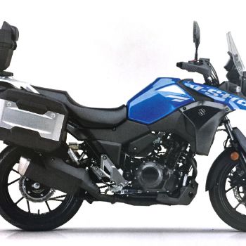 ������ľ  DL250