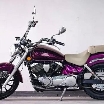 ����˫��250V16̫�ӳ���LF250-D���ž���̫�ӳ���